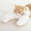 MEWOOFUN U-Shaped Orthopedic Cat Pillow Fluffy Neck Support with a relaxed cat resting on it