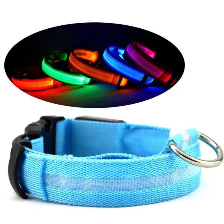LED PET Safety Halo Style Collar For Night Walks And Visibility