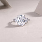 Crown Of Radiance Fashionable Moissanite S925 Silver Jewelry Set