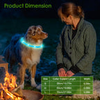 USB Rechargeable LED Dog Collar Multi Color Lighting Cuttable Length