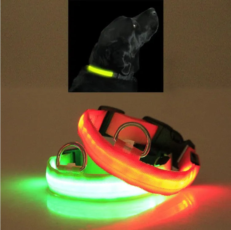 LED PET Safety Halo Style Collar For Night Walks And Visibility