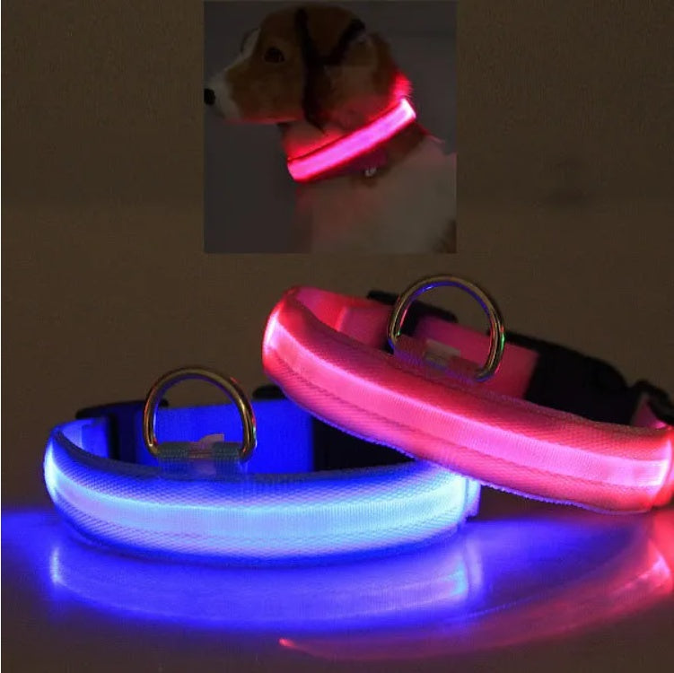 LED PET Safety Halo Style Collar For Night Walks And Visibility