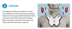 Adjustable Neck and Upper-Back Support Strap for Daily Alignment