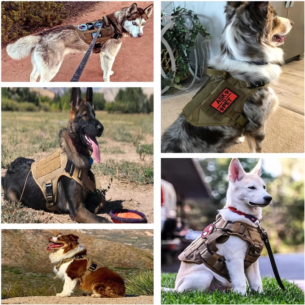 Pet Harness Luxury Dog Leash Set Chest Dog Nylon Camouflage Dog Harness Durable 1000D Nylon For Daily Walks