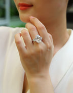 Soul Resonance Moissanite S925 Sterling Silver Jewelry Set Diamond