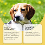 Yebang Pet Herbal Supplement Herbal Yeast Supplement For Soothing Pet