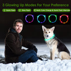 USB Rechargeable LED Dog Collar Multi Color Lighting Cuttable Length