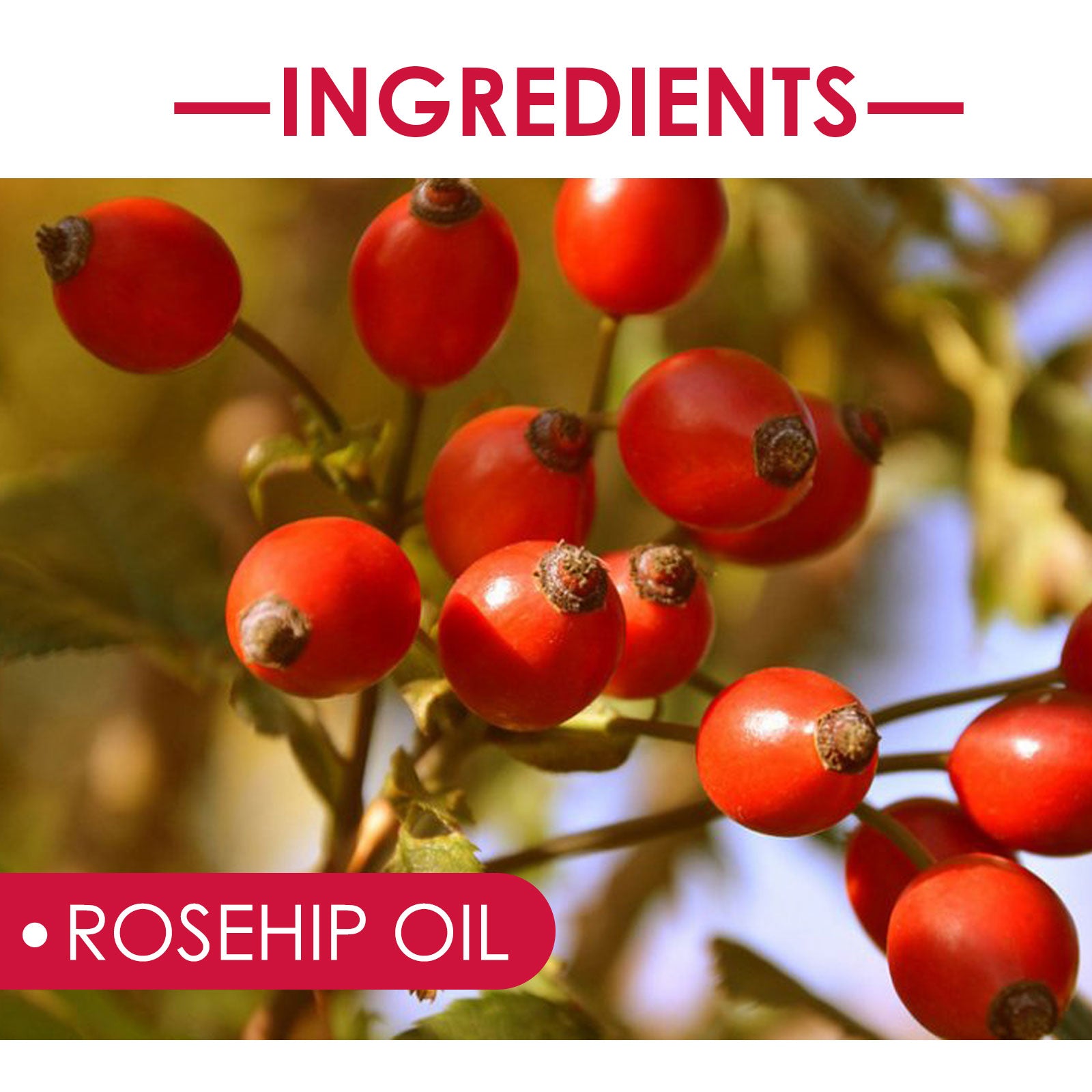 Facial Oil For Face And Body Hydration Nourishing Skin Care