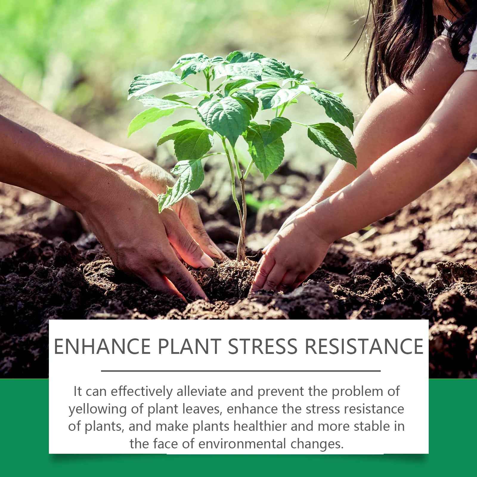 Green Plants And Leaves Healthy Growth Nutrient Solution With Nitrogen Secondary image