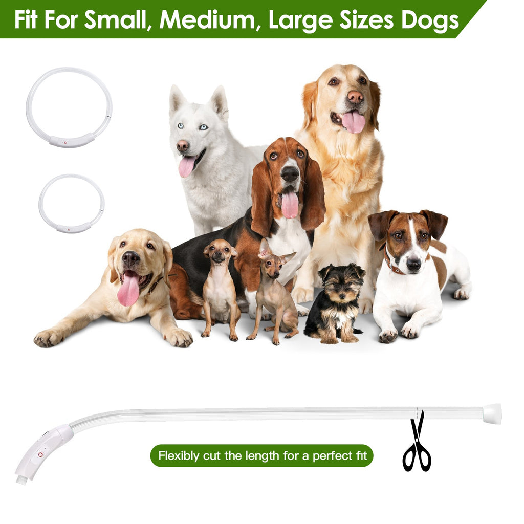 USB Rechargeable LED Dog Collar Multi Color Lighting Cuttable Length