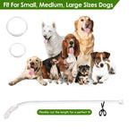 USB Rechargeable LED Dog Collar Multi Color Lighting Cuttable Length