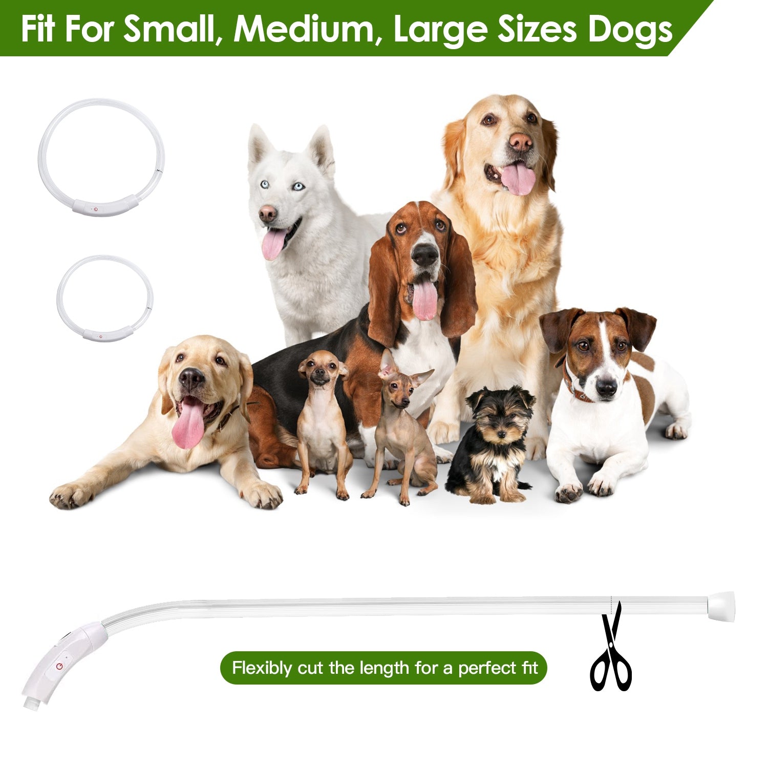 USB Rechargeable LED Dog Collar Multi Color Lighting Cuttable Length