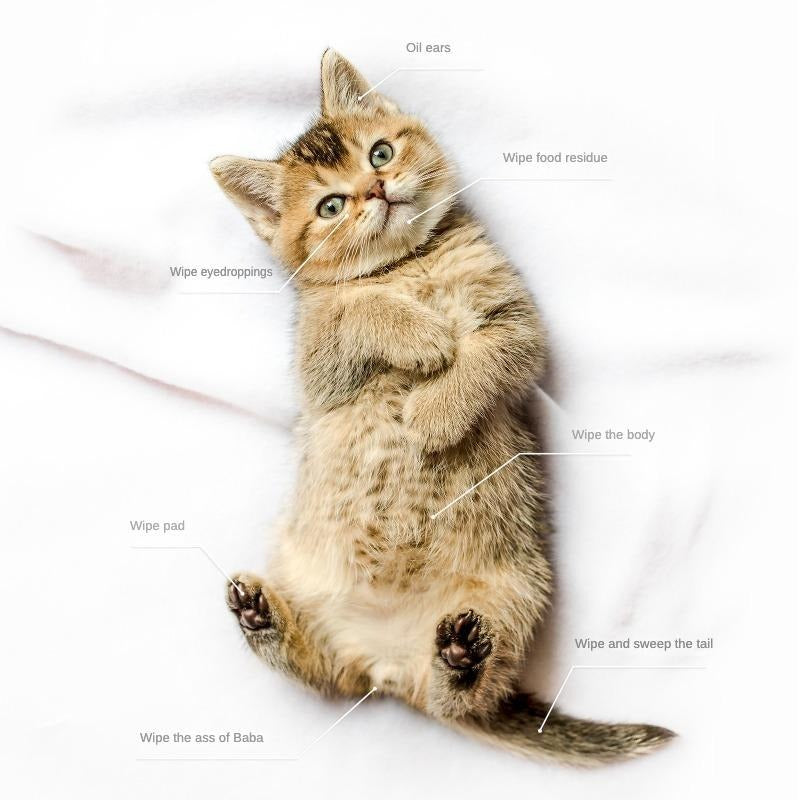 PET Cleaning Deodorizing Bathing Wipes For Dogs And Cats Nourish Fur