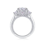 Crown Of Radiance Fashionable Moissanite S925 Silver Jewelry Set