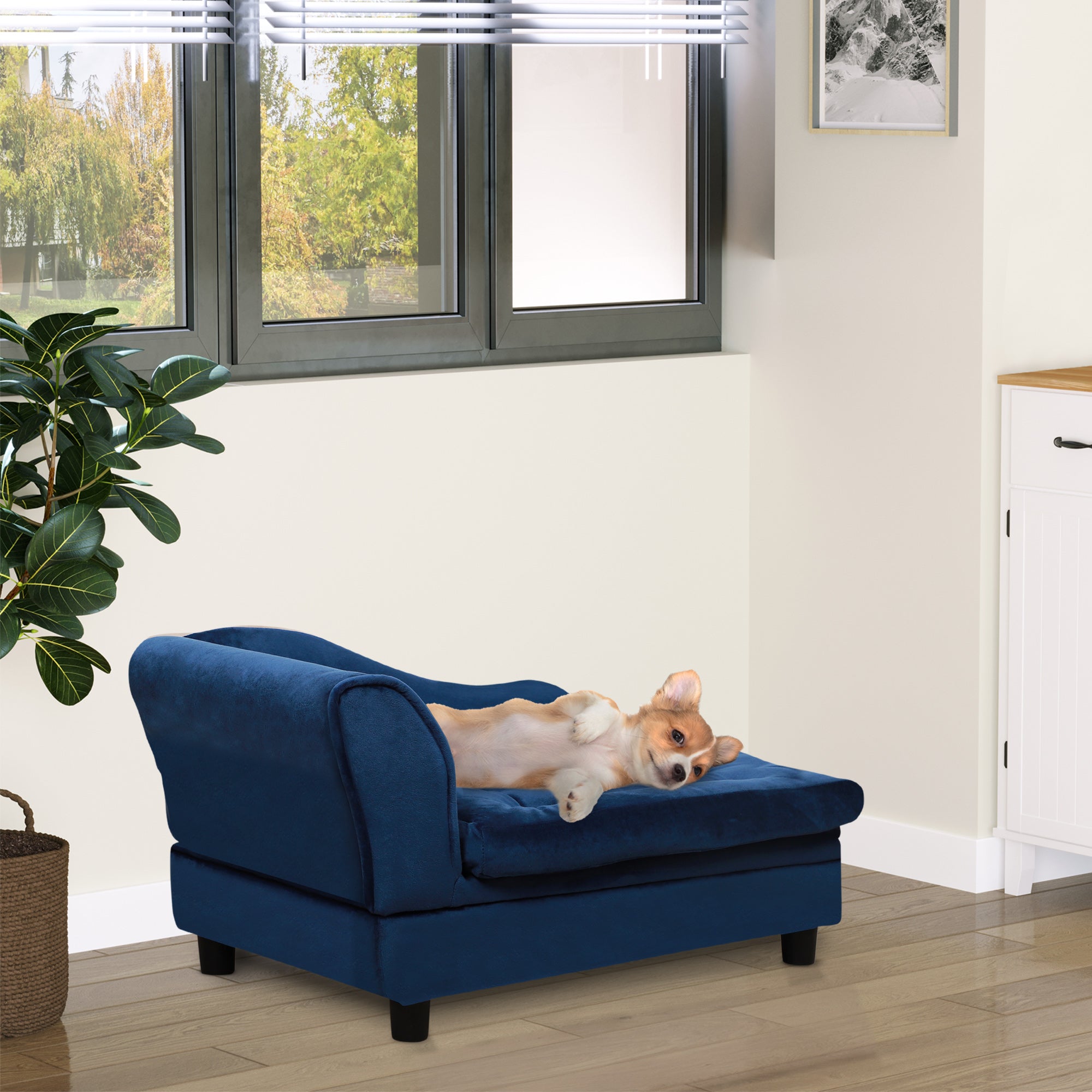 Luxury Small Dog Bed With Hidden Storage Plush Foam