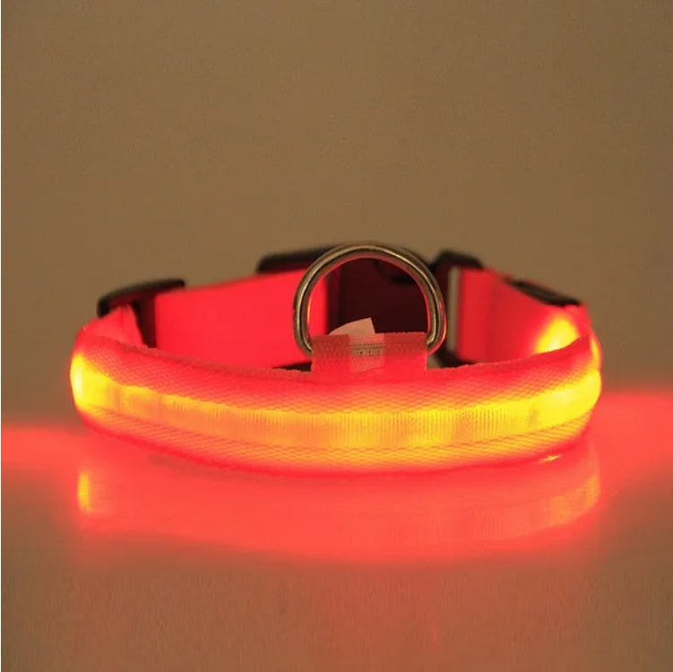 LED PET Safety Halo Style Collar For Night Walks And Visibility