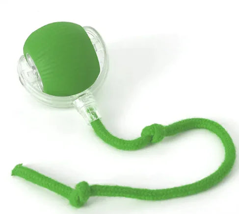 Self-Playing Rolling Cat Ball in green with a clear casing and string attachment for indoor cat play.