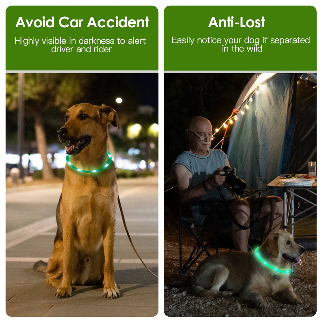 USB Rechargeable LED Dog Collar Multi Color Lighting Cuttable Length